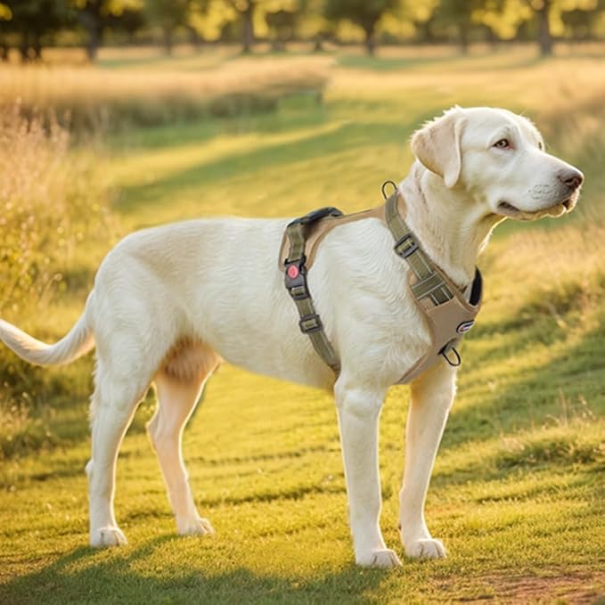 Tactical Dog Harness No Pull Adjustable Pet Vest Collars with Reflective Straps and Handle, Puppy Harnesses with Dual Metal Clips for Leash, Durable Chest Collar for Small and Medium Dogs