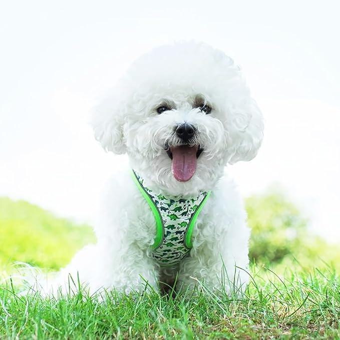 Step in Dog Harness and Leash Set, Flower Adjustable Easy Walk Puppy Harnesses, Soft Mesh Pet Vest Harness Small Size Adjustable No Pull Dog Harness for Small Dogs and Cats(Dinosaur1, XXS)