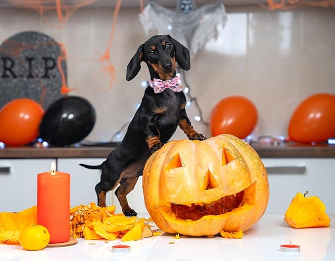 DOGWONG Fall Dog Collar with Bowtie - Pink Fall Dog Collar Soft Cotton Autumn Dogs Necklace - Halloween Puppy Necklace for Small Medium Large Dogs