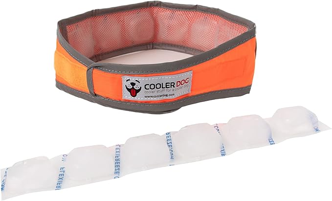Hi-Vis Dog Cooling Collar - Orange Reflective Re-Freezable Ice Collar (Large)