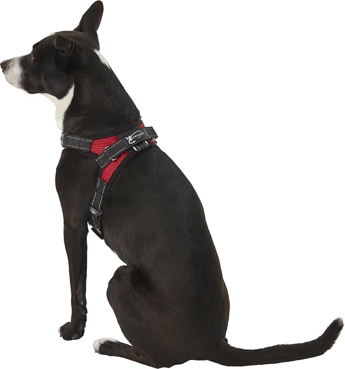 No Pull Reflective Adjustable Dog Harness with Handle- Comfortable Soft All Weather Mesh, Easy On Puppy Harness for Small Medium and Large Dogs (Red) Small