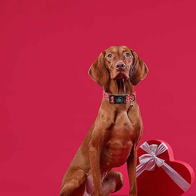 Elegant little tail Valentine's Dog Collar, Red Heart Dog Collars Female or Male Adjustable Cotton Pet Collar with Quick Release Buckle for Small Medium Large Dogs