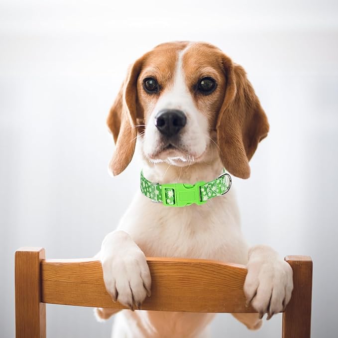 Dog Collars for Small Dogs, Cute Green Dog Collar with Daisy Flowers for Boy Girl Dogs, Adjustable Comfy Soft Pet Collar with Safety Buckle for XS Small Medium Large Dogs(S)