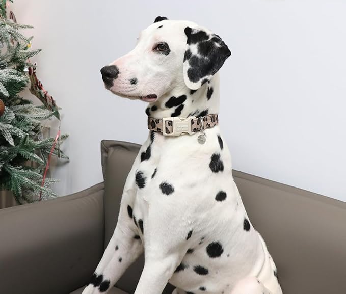 DOGWONG Cotton Dog Collar, Leopard Spring Summer Dog Collar Durable Soft Natural Fabric Pet Dog Collar Cute Wedding Puppy Necklace for Small Medium Large Dog