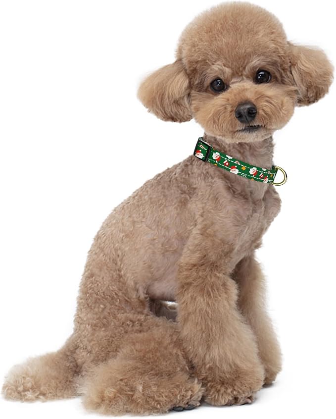 Reflective Dog Collar, Cute Christmas Style Dog Collar for Small Dogs, Soft Nylon Puppy Collar for Boy and Girl Female Dog, Adjustable Heavy-Duty Pet Collars with Quick Release Buckle, Green