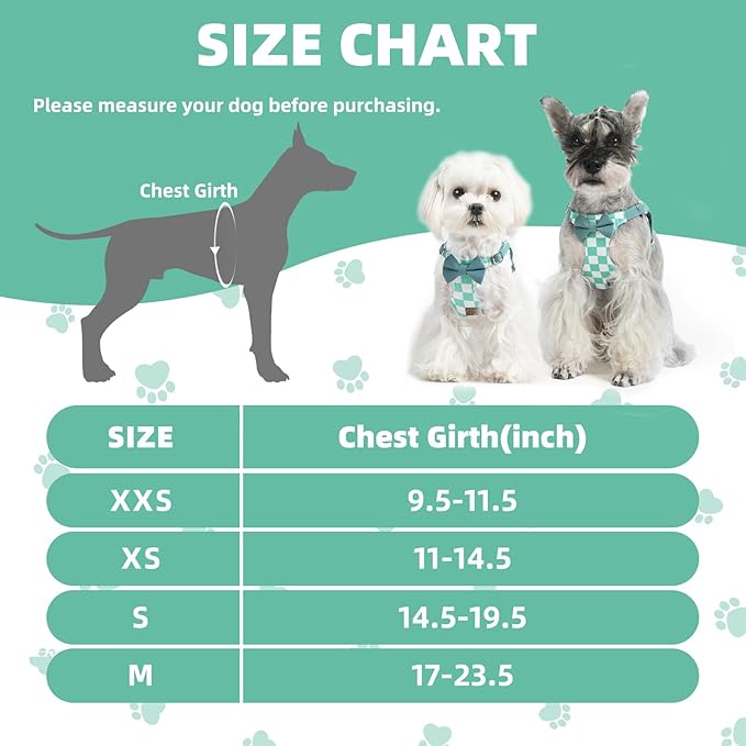 PUPTECK Dog Harness and Leash Set Small Sized, Step-in Cute Puppy Harness, Soft Lightweight Padded Vest, Escape Proof No Pull Pet Harnesses Easy for Walking, Plaid Green & White, XS