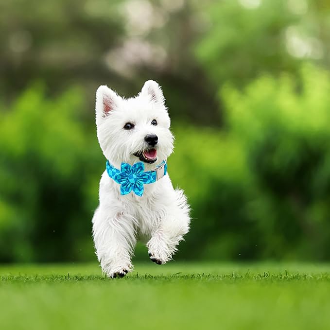 Maca Bates Checkered Plaid Mint Green Blue Dog Grid Collar with Flowers for Dogs Adjustable Breakaway Cute Plaid Collars Accessories Gift for Small Medium Large XL Puppy with Golden Metal Buckle