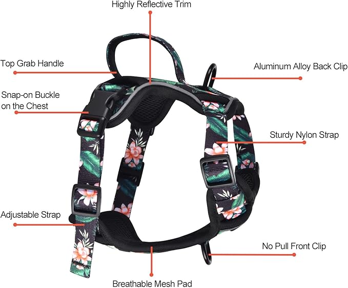Petmolico Dog Harness for Small Dogs, Cute Harness Vest with Two Leash Clips and Soft Handle, Reflective Easy Walk Puppy Vest - Black Lotus, Small