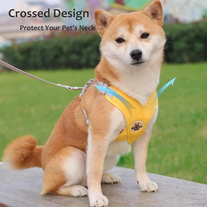 FEimaX Dog Harness Pet X Frame No Pull Step-in Harnesses with Leash Set, Adjustable Reflective Choke Free Puppy with Padded Vest for Small, Medium Dogs and Cats Walking Training