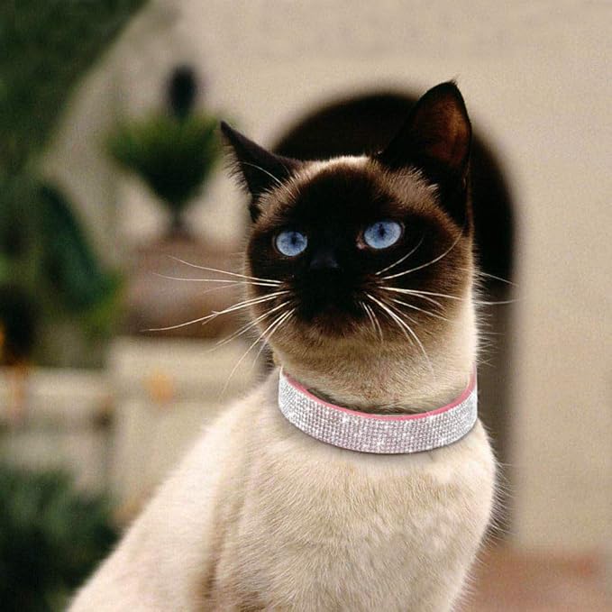 Cute Dog Collar with Bling Rhinestone, Fancy Crystal Diamond Glitter Pretty Jewel Soft Cat Collars for Small Medium Large Breed Dogs Girl Female Pet Puppy Kitten Terrier (L, Light Blue6)