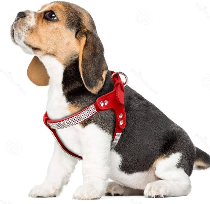 Beirui Soft Suede Leather Dog Harness and Leash Set - Rhinestone Dog Harness Sparkly Crystal Vest & 4 ft Lead for Small Dogs Pets Bulldog Schnauzer Cocker,Red,Chest for 14-17"
