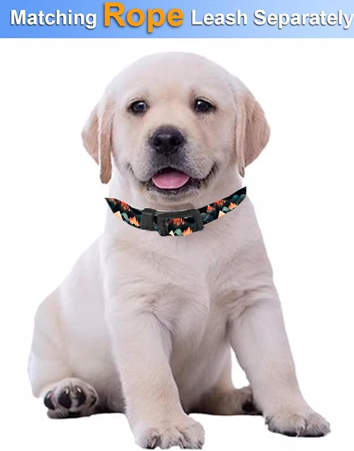 Dog Collar, Cute Dog Collar for Small Medium Large Dogs, Personalized Adjustable Soft Pet Collars with Quick Release Buckle for Walking Running, Fire Mountain