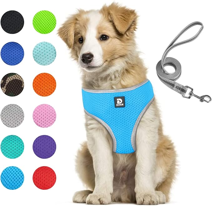 Puppy Harness and Leash Set - Dog Vest Harness for Small Dogs Medium Dogs- Adjustable Reflective Step in Harness for Dogs - Soft Mesh Comfort Fit No Pull No Choke (L, Light Blue)