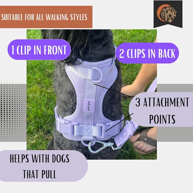 Tito's Closet Large Dog Harness and Leash Set, Soft Neoprene Material, No Pull Dog Harness, Purple, Large