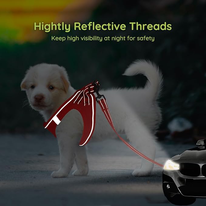 BELLA & PAL Puppy Harness with Leash Set, Dog Harness for Small Dogs No Pull, Dog Leash for Small Dogs, Step in Harness for Extra Small Dogs, Red Harness, S