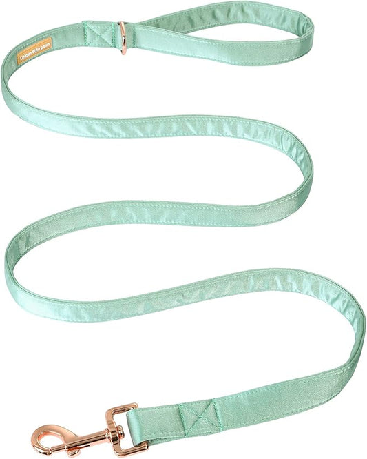 Unique style paws Silk Dog Leash Durable Dog Leashes with Welded D-Ring Comfortable Handle for Small Medium Large Dogs