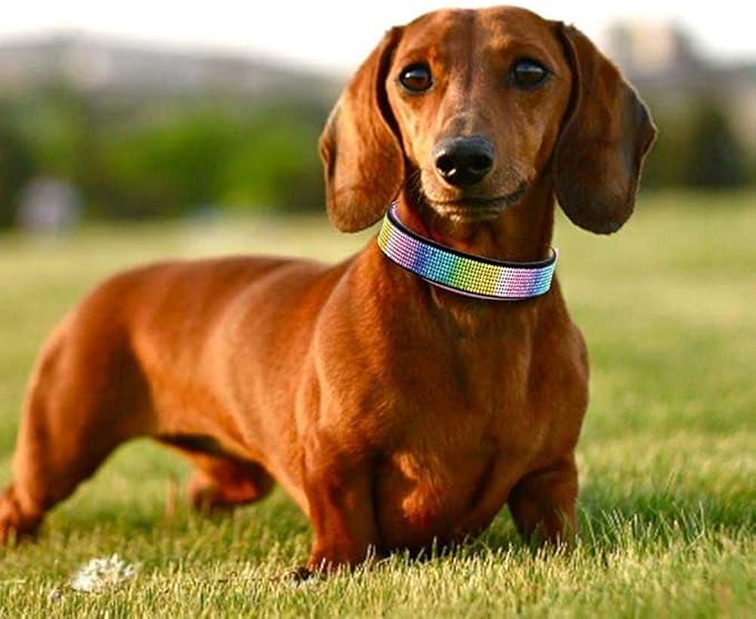 Rhinestone Dog Collar, Cute Dazzling Sparkling Soft Suede Leather Dog Cat Rhinestone Collar Crystal Diamond Pet Dog Puppy Collar (XXS, Black-3)