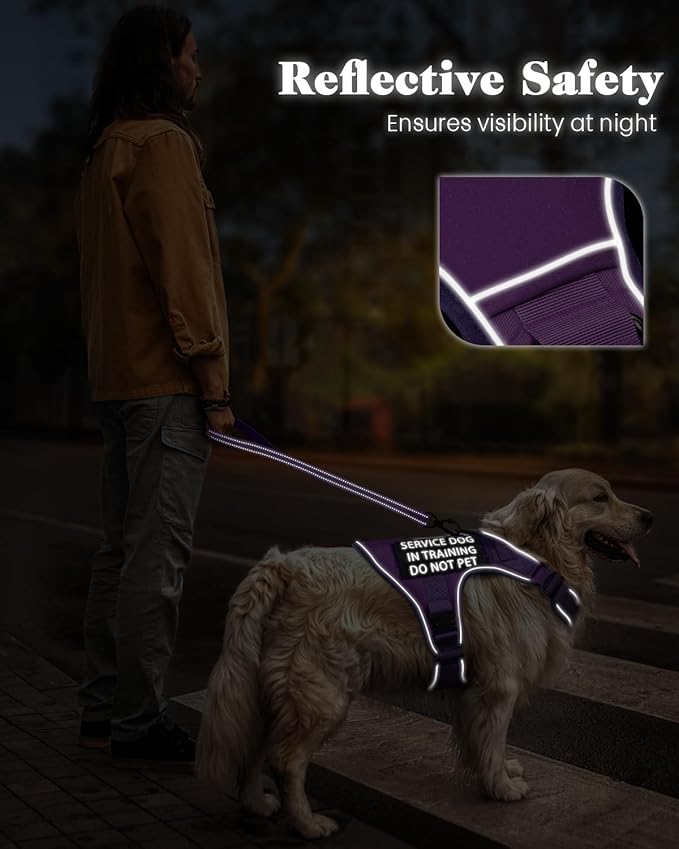 Reflective Purple Service Dog in Training Vest Harness Leash Set for Medium Large Dogs, Adjustable Heavy Duty Padded Dog Harness, with Front Clip and Metal Buckles Do Not Pet for Training, Hiking