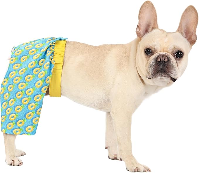 HDE Dog Swim Trunks Hawaiian Board Shorts Beach Pool Swimsuit for XS to XXL Dogs Pineapple Floats - S