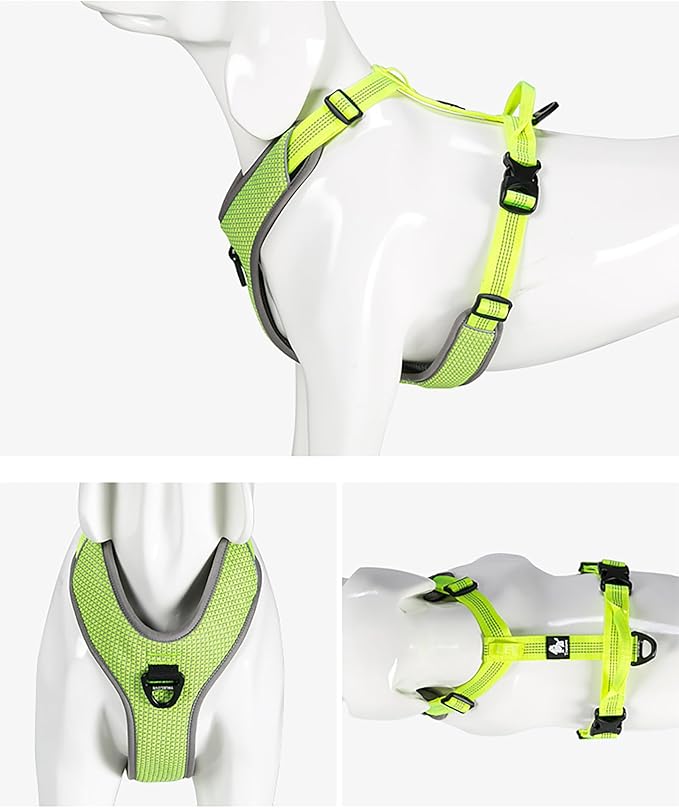 TRUE LOVE Dog Harness Outdoor Adventure II Reflective Vest with 2 Leash Attachments Matching Leash and Collar Available TLH6071