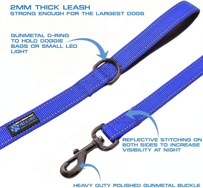 Max and Neo Double Handle Traffic Dog Leash - Reflective, Donates to Dog Rescue (Blue, 4 FT)
