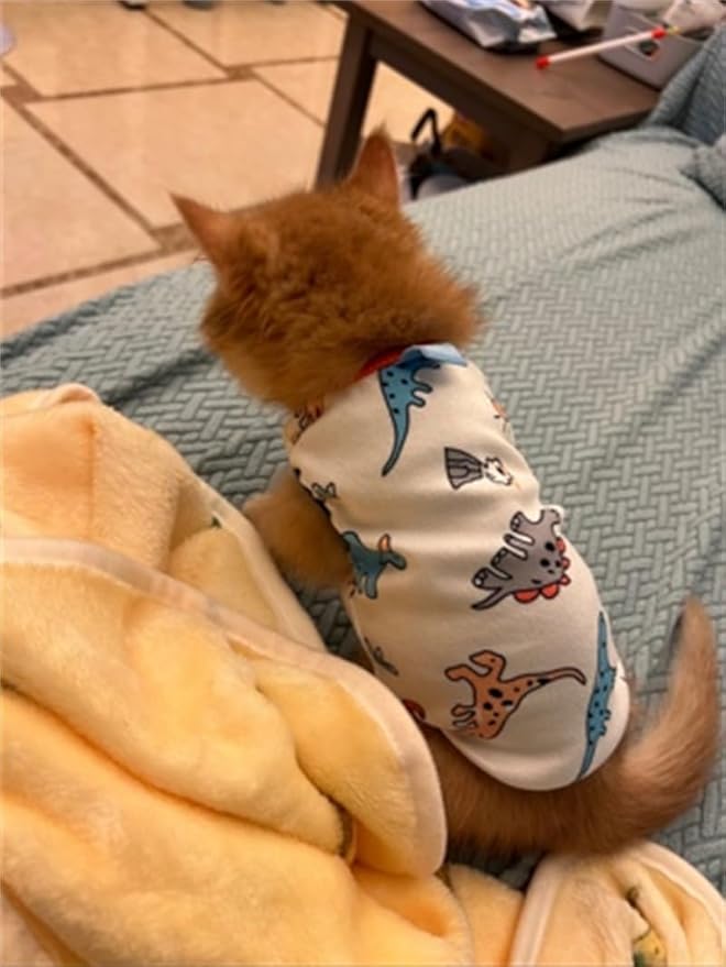 Dog Clothes Puppy Cute Dinosaur Pet Shirt Dog Vest Cat Clothes Doggie Boy Girl T Shirts for Small Dogs Cat Teacup Chihuahua Yorkie (Dino Vest, Large)