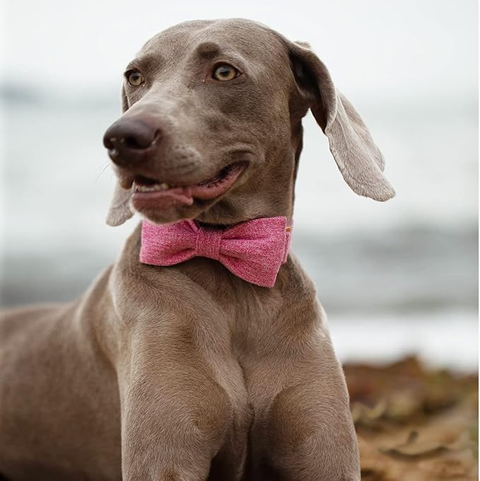 DOGWONG Hemp Cotton Dog Collar with Bow, Pink Pet Collar Durable Adjustable Girl Puppy Collar for Small Medium Large Dogs