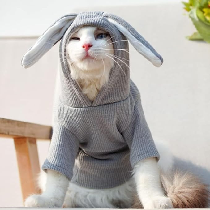 ANIAC Pet Hoodie Cat Rabbit Outfit with Bunny Ears Cute Sweatshirt Spring and Autumn Puppy Knitted Sweater Kitty Soft Knitwear (XXL-Large, Grey)