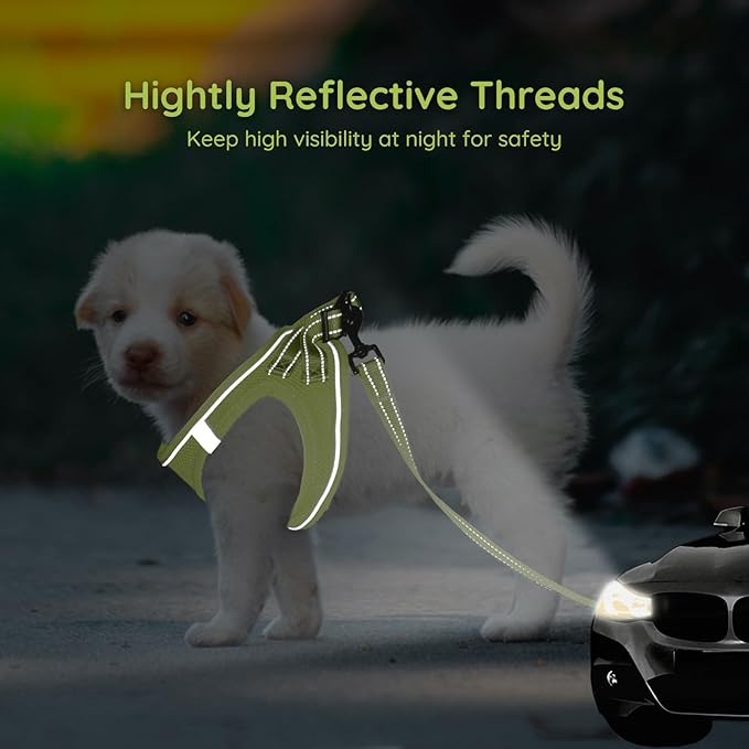 BELLA & PAL Puppy Harness with Leash Set, Dog Harness for Small Dogs No Pull, Dog Leash for Small Dogs, Step in Harness for Extra Small Dogs, Avocado Green Harness, M