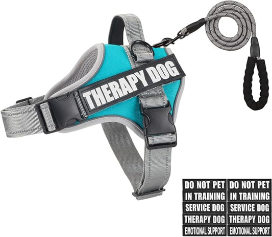 Dog Vest Harness and Leash Set, Animire Reflective Service Dog Vest in Training Dog Harness with 10 Patches, 3 Rings Emotional Support Therapy Dog Harness for Small Medium Large Dogs(Teal,S)