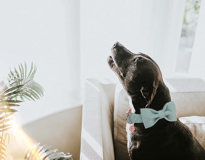 DOGWONG Cotton Dog Collar with Bow Green Pet Collar Durable Adjustable Puppy Collar for Small Medium Large Dogs