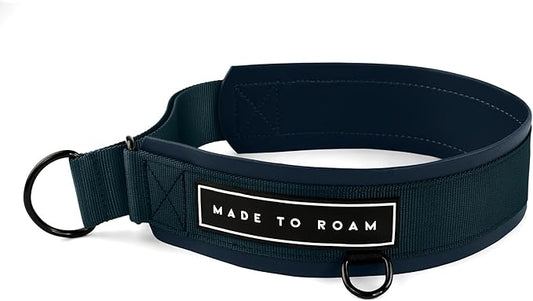 MADE TO ROAM Premium Everyday Dog Collar - Martingale Style No Pull Vegan Leather Collar, Heavy Duty and Lightweight for Small, Medium, Large Dogs (Colorado Nightsky, Size 1)