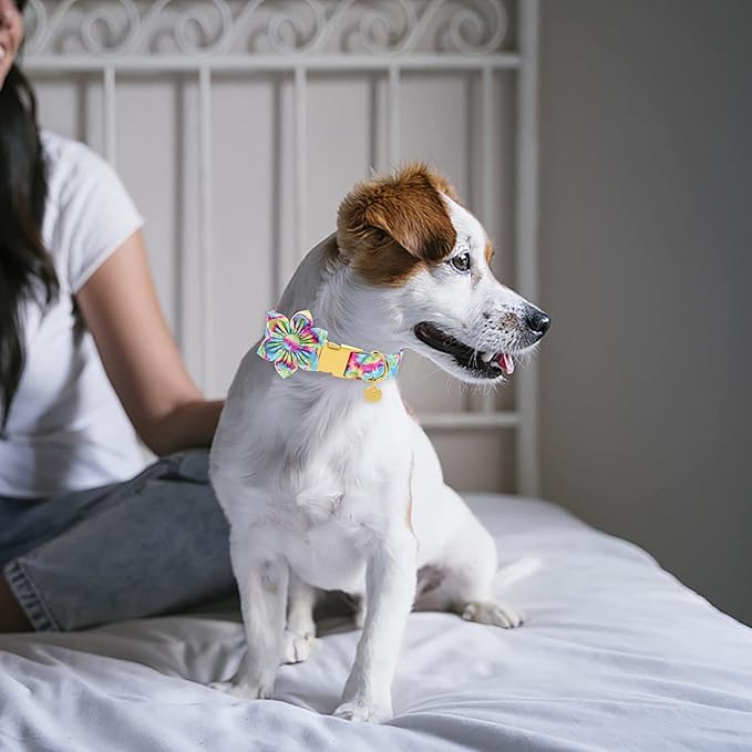 Dog Collar with Flower, Female Dog Collar for Small Girl Dog, Comfortable Adjustable Cute Cotton Flower Collar with Metal Buckle, S