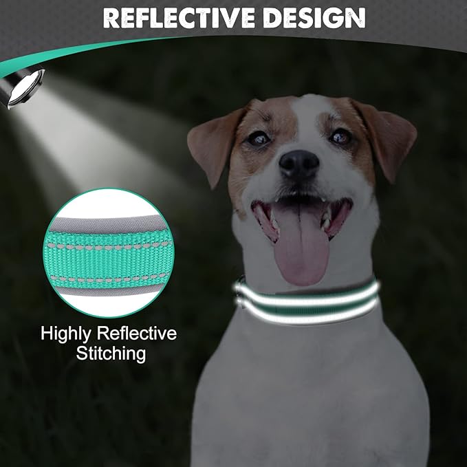 Joytale Dog Collar for Small Dogs, Neoprene Padded and Adjustable, Reflective Wide Heavy Duty Pet Collars with Durable Metal Belt Buckle for Walking, Teal, S