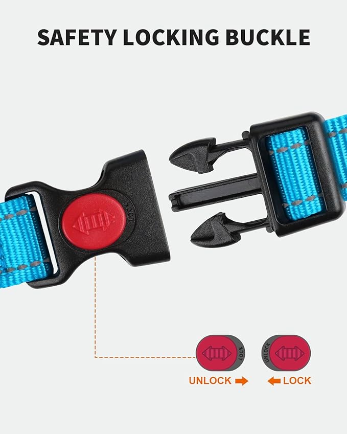 FunTags Reflective Martingale Collar for Dogs, Quick Release Buckle, 5FT Double Handle Dog Leash Padded, Dog Collar and Leash Set, Adjustable for Small Dogs (Sky Blue, S)