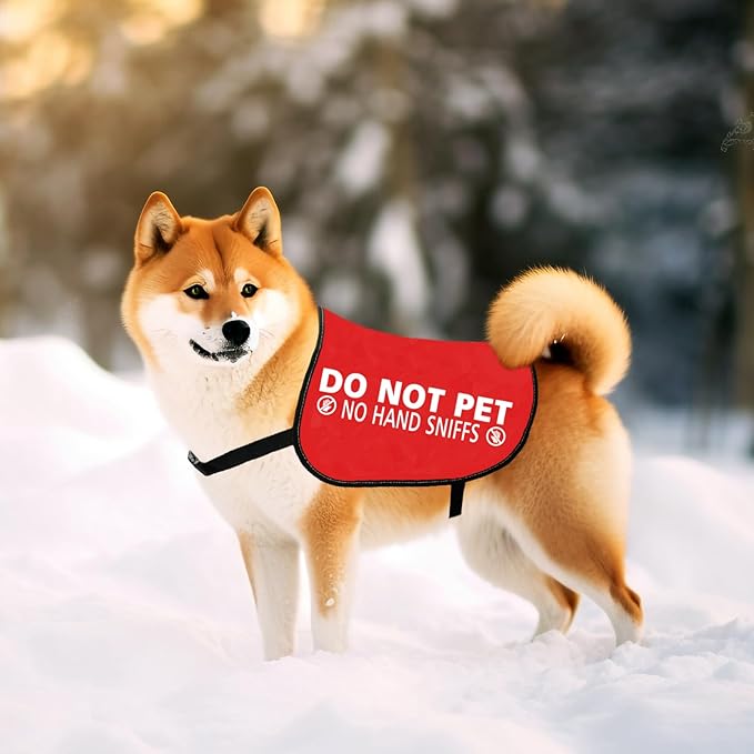 JXGZSO Nervous Anxious Dog Slogan Warning Vest Do Not Pet No Hand Sniffs Dog Jacket Vest (No Hand Sniffs M)