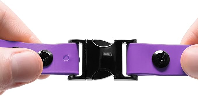 Educator Quick Snap Bungee Dog Collar, Biothane, Waterproof, Odorproof, Easy Connect and Disconnect Clasp and D Ring with Comfort Bungee Loop, Adjustable for Custom Fit, 3/4-Inch, Purple