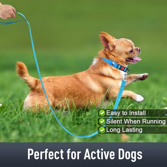 Airtag Dog Collar with AirTag Holder for Puppy Small Dogs, Reflective, Soft Padded & Safety Locking Buckle, Nylon Pet Collars Adjustable for All Breeds, SkyBlue,XS