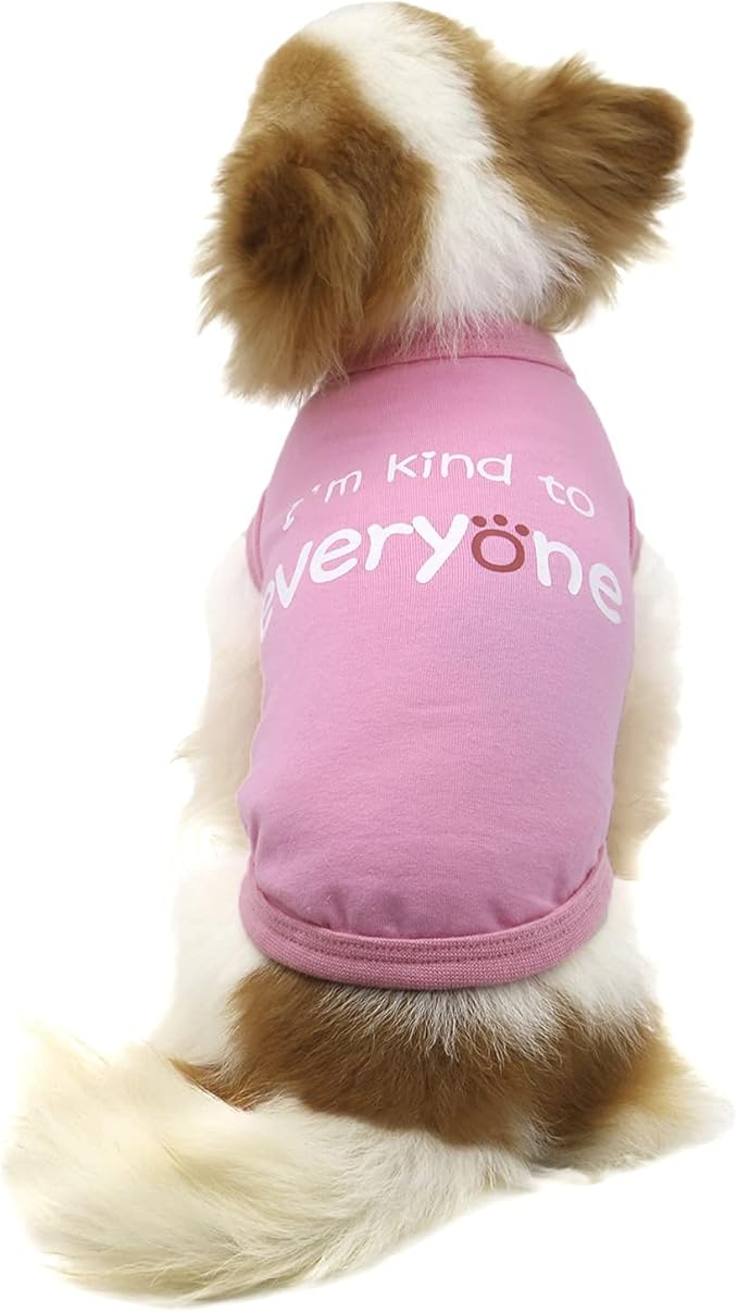 LOPHIPETS Dog I'm Kind to Everyone Letter Print Shirts for Small Dog Bichon Clothes Tee-Pink/XL