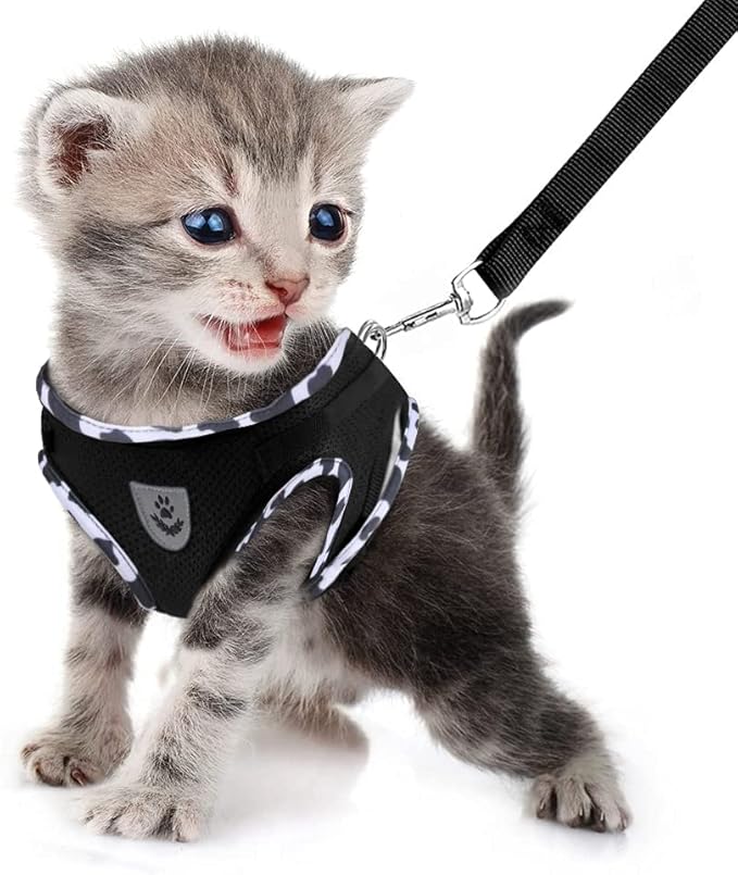 FEimaX Dog Harness and Leash Set for Walking, Soft Mesh Adjustable Easy Control Lightweight Cat Vest Harnesses with Reflective Strips, Escape Proof Small Dogs Cats Vests (Cowblack, Small)