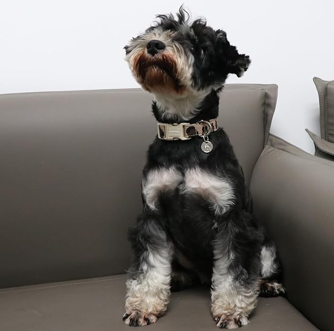 DOGWONG Cotton Dog Collar, Leopard Print, Soft & Comfortable, Durable Plastic Buckle, X-Small, Perfect for Small, Medium, Large Dogs