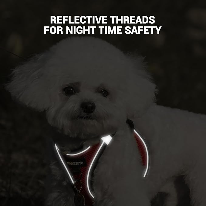 Dog Harness and Leash Set, Dog Harness for Dogs No Pull, No-Chock Step-in Reflective Breathable Lightweight Easy Walk Vest Harnesses with Safety Buckle for Small Medium Dogs, Cats (Red, M)