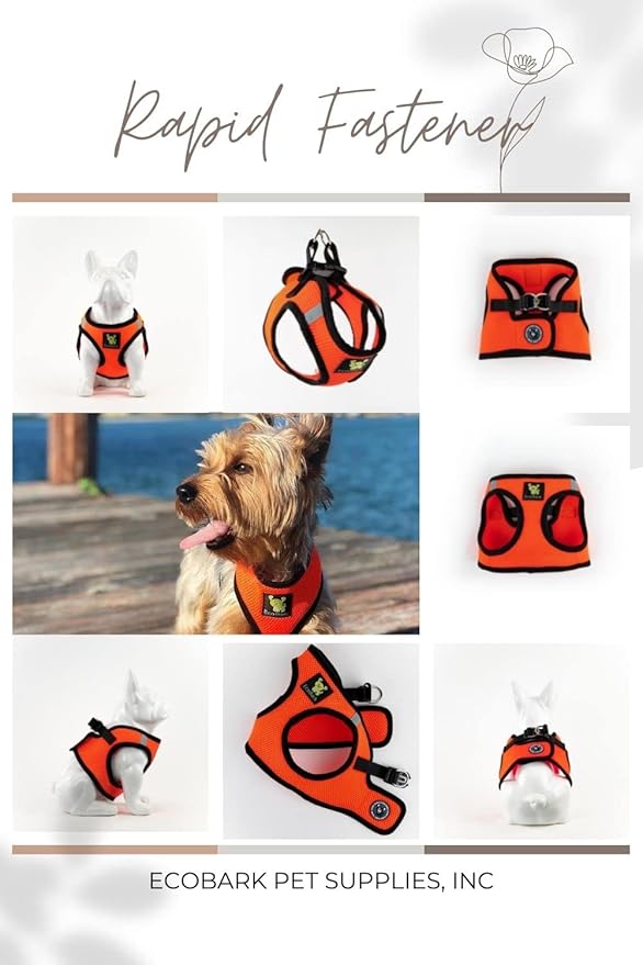 EcoBark Step in Dog Harness - Eco-Friendly Teacup Dog Harnesses for XXS, XS, and Small Dogs - Reflective and Adjustable Mini Body Halter Vest -Tiny Soft Mesh Toy Breed Harness (Orange, XXXS)