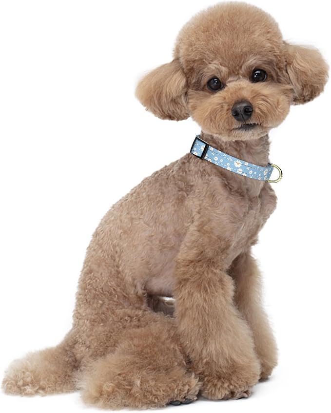 Reflective Dog Collar for Small Dogs, Cute Daisy Theme Adjustable Heavy-Duty Nylon Puppy Collar for Boy and Girl Female, Soft Pet Accessories with Quick Release Buckle, Neck 10-16", Blue