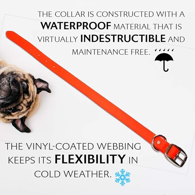 Regal Dog Products Small Orange Waterproof Dog Collar and Leash Set | Heavy Duty Double Buckle & D Ring - 5'ft Leash | Adjustable Biothane Dog Collar | Chew Resistant Waterproof Collar for Dogs