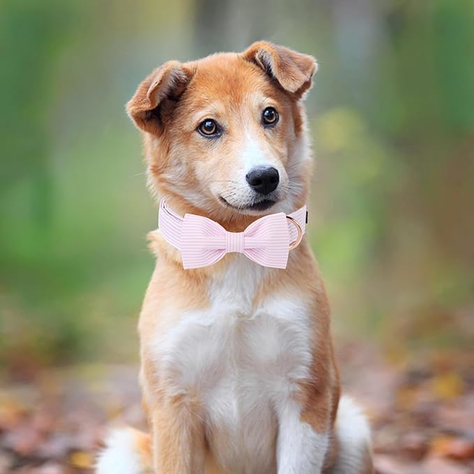 Unique style paws Spring Pink Dog Collar with Bow Pet Gift Adjustable Soft and Comfy Bowtie Collars for Small Medium Large Dogs