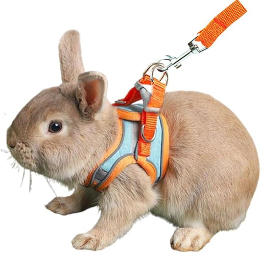 Bunny Harness and Leash Set Reflective Strip Kitten Vest Harness Escape Proof Rabbit Leash Walking Pet Accessories for Small Cat XXS Dog Guinea Pig and Small Animals (Orange, Medium)