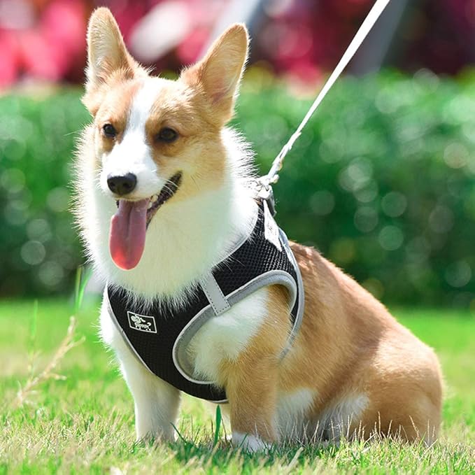 Pet Harness with Leash Universal Escape Proof Dog Cat Harness Adjustable Reflective Step-in Design for Small and Medium Dogs Soft Mesh No Pull No Choke Comfort Fit Black, XS