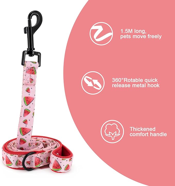 Coowone Dog Harness and Leash Set, Adjustable Puppy Harness and Soft Padded Dog Vest Harness for Small Medium Large Dogs