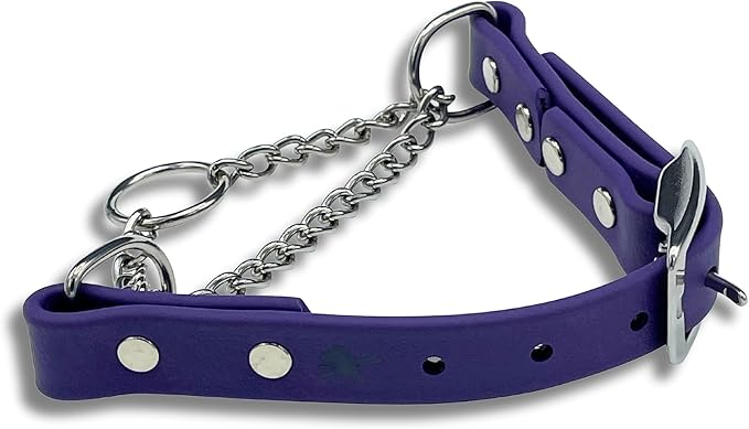 Martingale Collar for Dogs, Biothane, Stainless Steel Hardware, No Pull, Made in The USA, Professional Grade, Medium, Purple